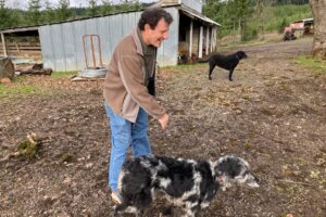 Nicholas Kristof relaxes at his farm with his family's dogs near Yamhill, Oregon, on Friday, Jan. 21, 2022. (AP Photo/Andrew Selsky)